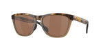 Brown Tortoise, Brown Smoke, Prizm Tungsten Polarized