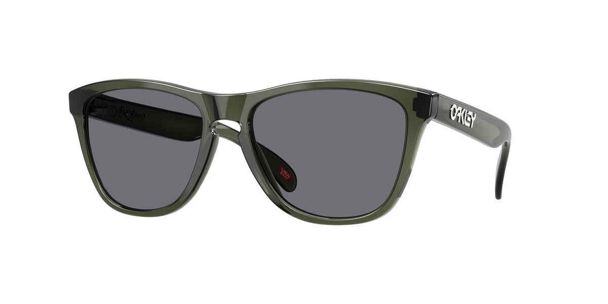 Oakley Frogskins Olive Ink / Grey