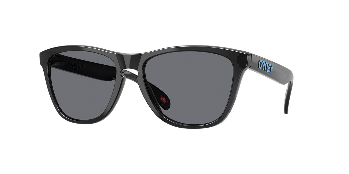 Oakley Frogskins Black Ink / Grey