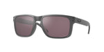 Steel, Prizm Daily Polarized
