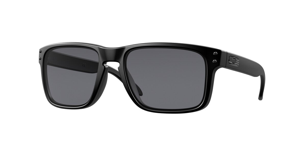 Oakley Holbrook Matte Black / Grey