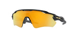 Polished Black, Prizm 24K Polarized