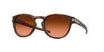 Matte Brown Tortoise, Prizm Bronze Gradient