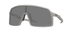 Titanium, Prizm Black