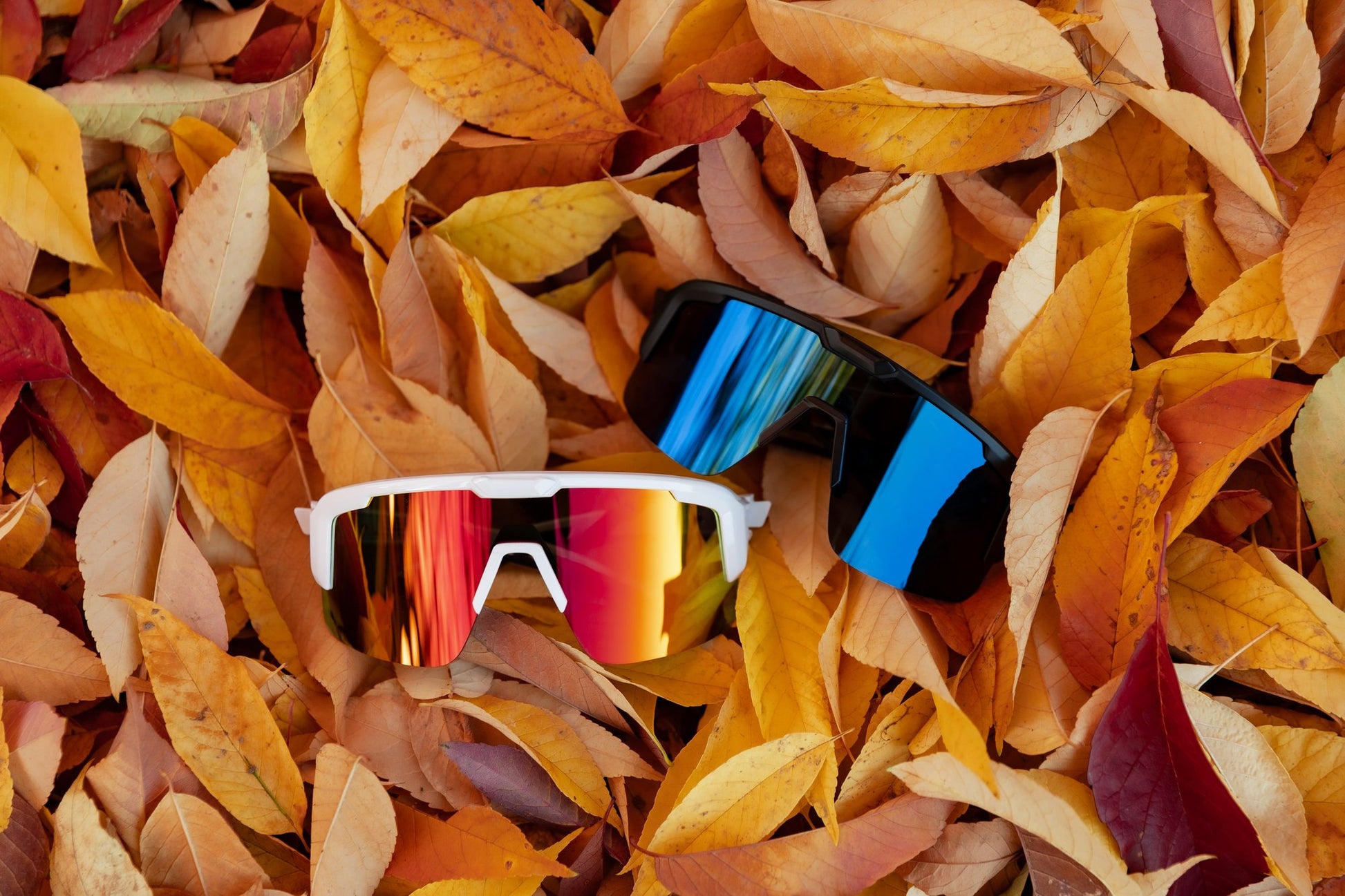 Wye Delta Reactiv sunglasses, white and black frames
