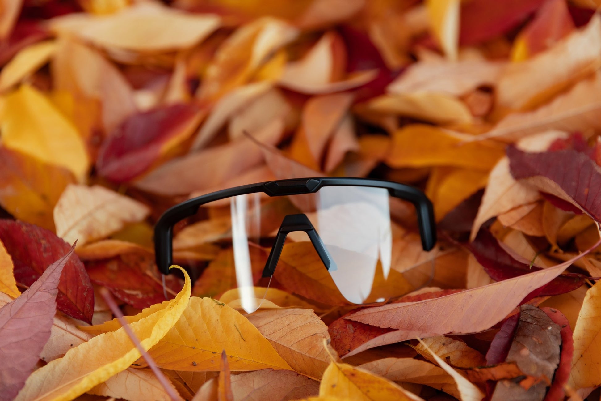 Wye Delta Reactiv sunglasses lifestyle