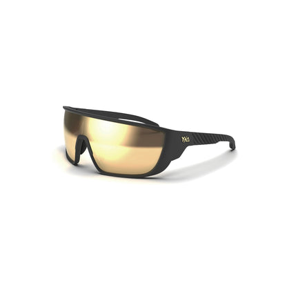 Wye/Delta FullViz